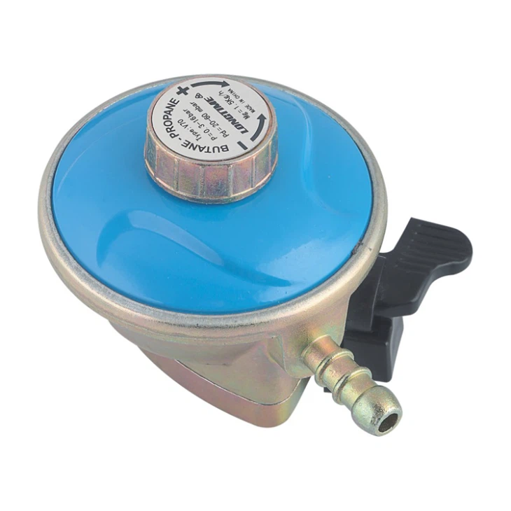 Gas Pressure Regulator 5